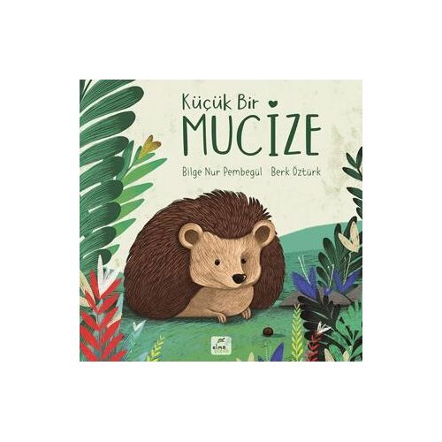 Küçük Bir Mucize - Bilge Nur Pembegül - Elma Çocuk