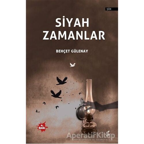 Siyah Zamanlar - Behçet Gülenay - Okur Kitaplığı