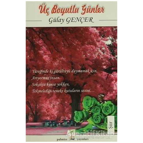 Üç Boyutlu Günler - Gülay Gençer - Palmiye Kitapları