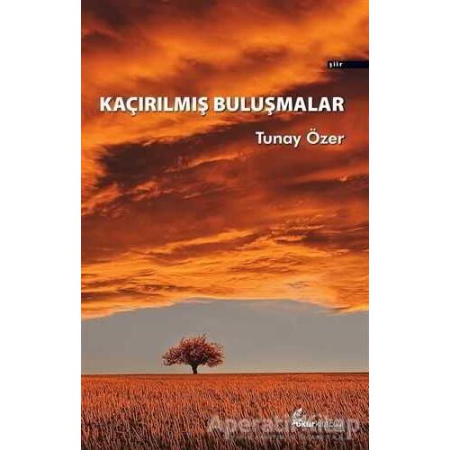 Kaçırılmış Buluşmalar - Tunay Özer - Okur Kitaplığı