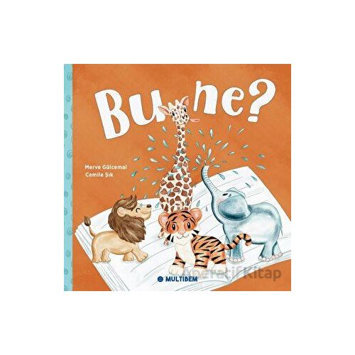 Bu Ne? - Merve Gülcemal - Multibem Yayınları