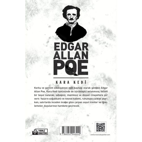 Kara Kedi - Edgar Allan Poe - Maviçatı Yayınları