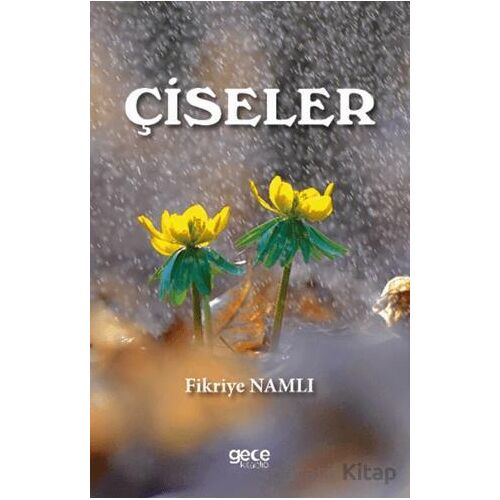 Çiseler - Fikriye Namlı - Gece Kitaplığı