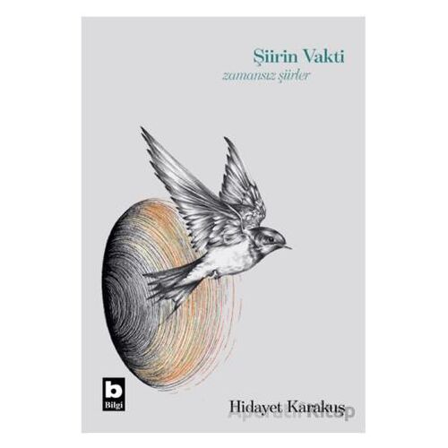 Şiirin Vakti Zamansız Şiirler - Hidayet Karakuş - Bilgi Yayınevi