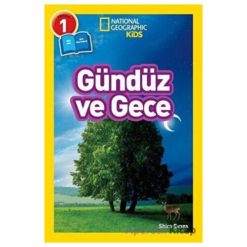 Gündüz ve Gece - Seviye 1 - Shira Evans - Beta Kids