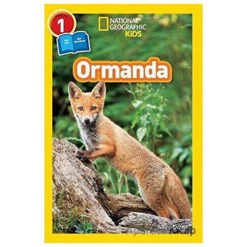 Ormanda - Seviye 1 - Shira Evans - Beta Kids