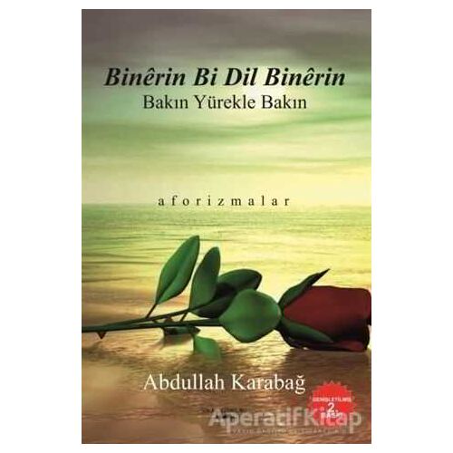 Berfin Dibarin Li Reşiyan / Kardelen Yağar Karın Alacasına - Abdullah Karabağ - Sokak Kitapları