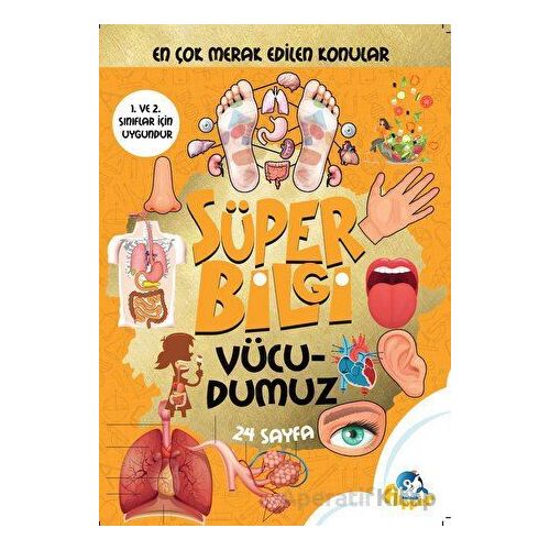 Süper Bilgi - Vücudumuz - Minik Flipper