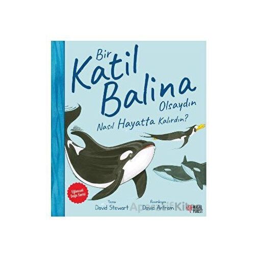 Bir Katil Balina Olsaydın Nasıl Hayatta Kalırdın? - David Stewart - Masalperest
