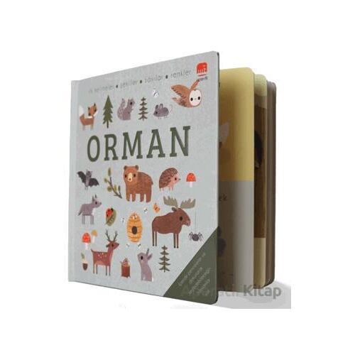 Say Bul Eğlen Orman - Kollektif - Uçan Fil Yayınları