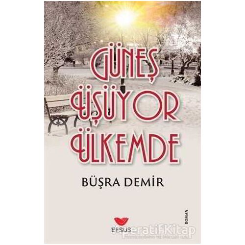 Güneş Üşüyor Ülkemde - Büşra Demir - Efsus Yayınları