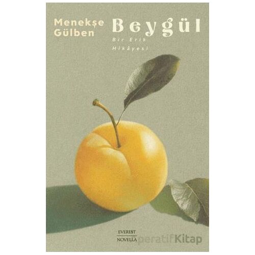 Beygül - Menekşe Gülben - Everest Yayınları