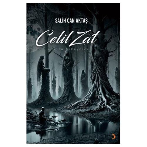 Celil Zat - Salih Can Aktaş - Cinius Yayınları