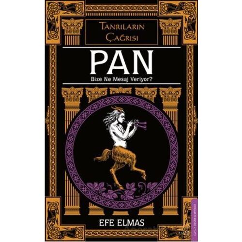 Pan Bize Ne Mesaj Veriyor? - Efe Elmas - Destek Yayınları