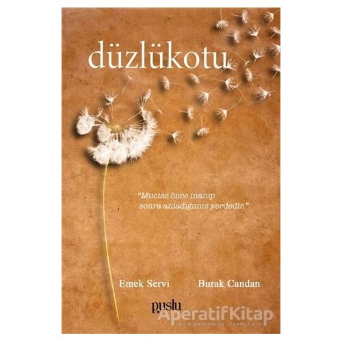 Düzlükotu - Burak Candan - Puslu Yayıncılık