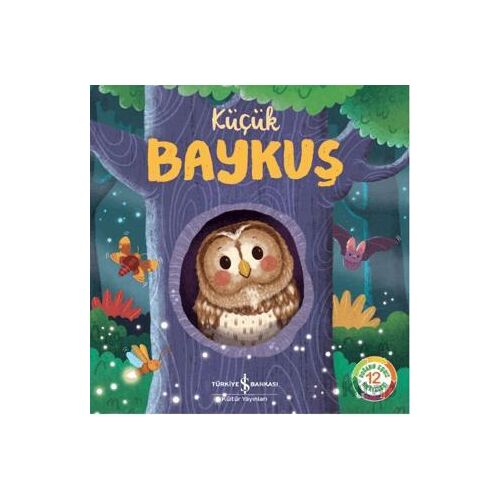 Küçük Baykuş - Wednesday Jones - İş Bankası Kültür Yayınları