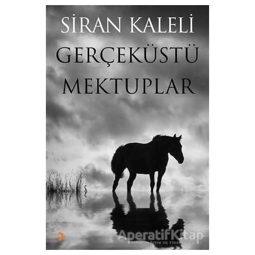 Gerçeküstü Mektuplar - Siran Kaleli - Cinius Yayınları