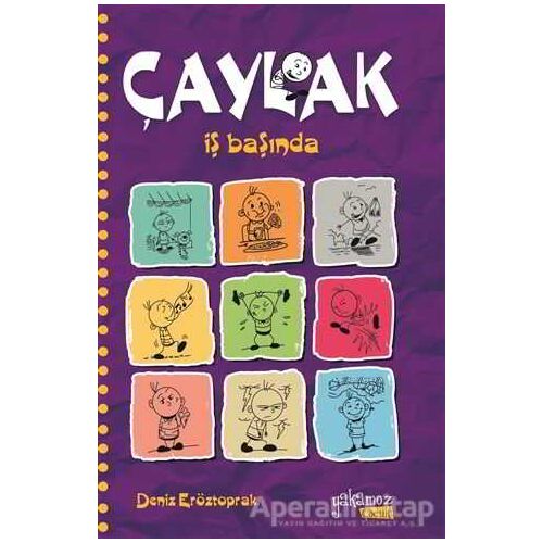 Çaylak - İş Başında - Deniz Eröztoprak - Yakamoz Yayınevi