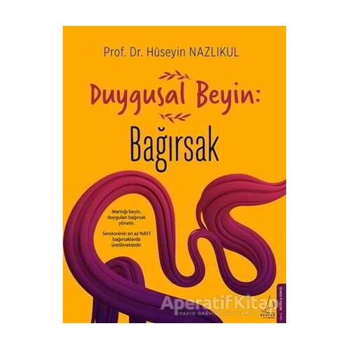 Duygusal Beyin: Bağırsak - Hüseyin Nazlıkul - Destek Yayınları