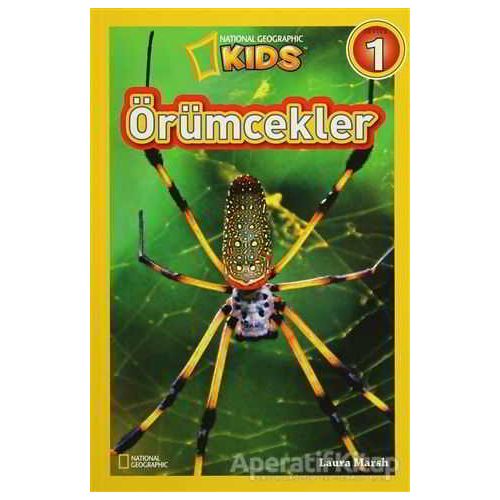 Örümcekler - Laura Marsh - Beta Kids