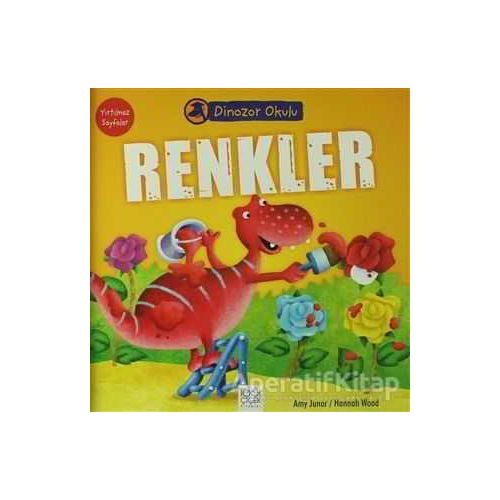 Renkler - Amy Junor - 1001 Çiçek Kitaplar