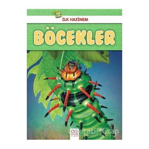 Böcekler - İlk Hazinem - Denise Ryan - 1001 Çiçek Kitaplar