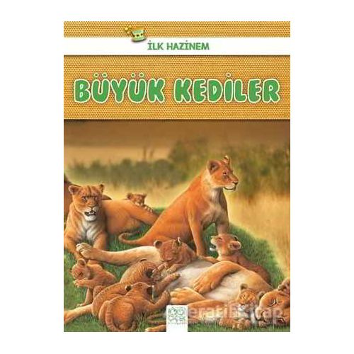 Büyük Kediler - İlk Hazinem - Denise Ryan - 1001 Çiçek Kitaplar