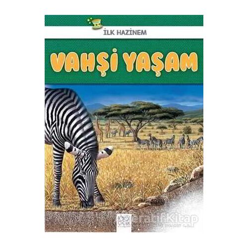 Vahşi Yaşam - İlk Hazinem - Denise Ryan - 1001 Çiçek Kitaplar