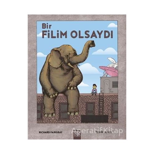 Bir Filim Olsaydı - Richard Fairgray - 1001 Çiçek Kitaplar