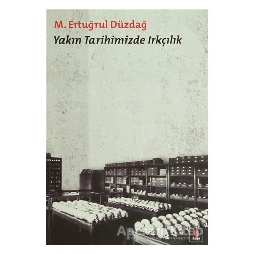 Yakın Tarihimizde Irkçılık - M. Ertuğrul Düzdağ - Kapı Yayınları