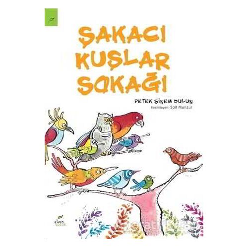 Şakacı Kuşlar Sokağı - Petek Sinem Dulun - ELMA Yayınevi