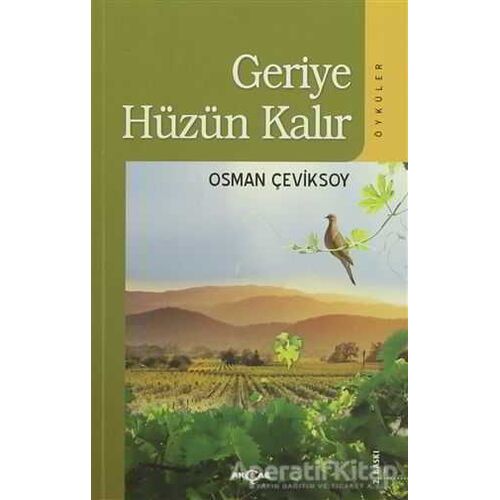 Geriye Hüzün Kalır - Osman Çeviksoy - Akçağ Yayınları