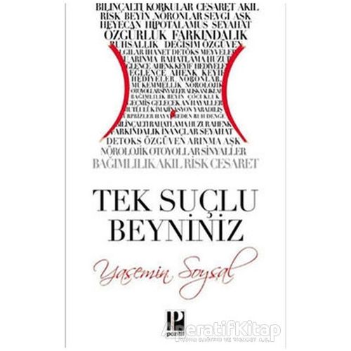 Tek Suçlu Beyniniz - Yasemin Soysal - Pozitif Yayınları