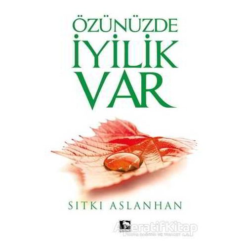Özünüzde İyilik Var - Sıtkı Aslanhan - Çınaraltı Yayınları