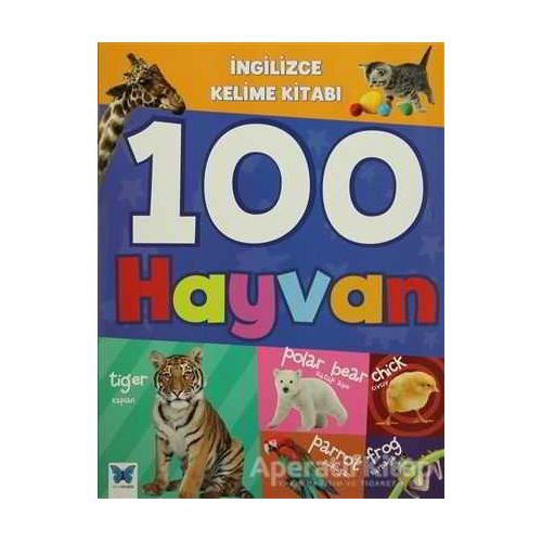 İngilizce Kelime Kitabı : 100 Hayvan - Kolektif - Mavi Kelebek Yayınları