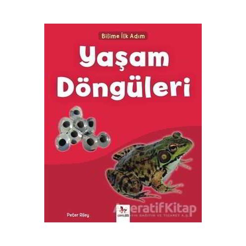 Yaşam Döngüleri - Bilime İlk Adım - Peter Riley - Almidilli