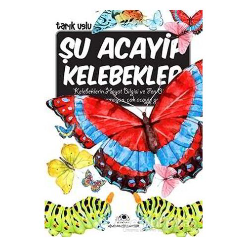 Şu Acayip Kelebekler - Tarık Uslu - Uğurböceği Yayınları