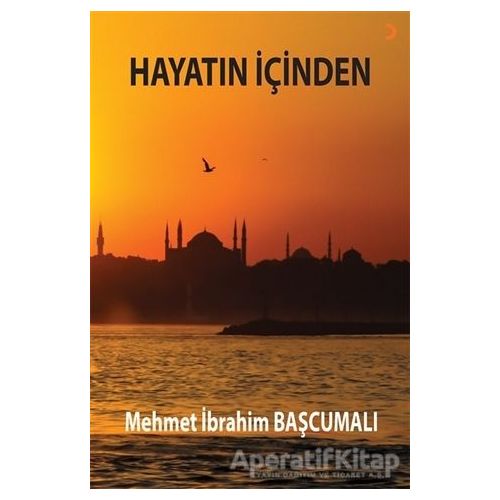 Hayatın İçinden - Mehmet İbrahim Başcumalı - Cinius Yayınları