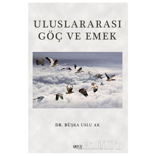 Uluslararası Göç ve Emek - Büşra Uslu Ak - Gece Kitaplığı