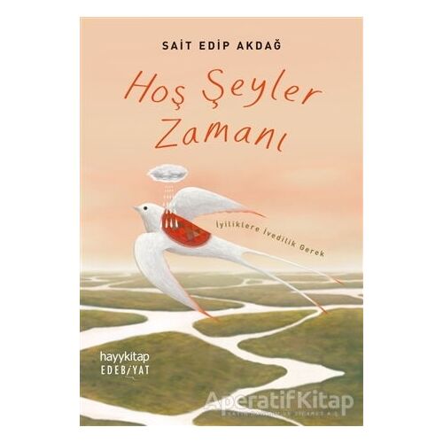 Hoş Şeyler Zamanı - Sait Edip Akdağ - Hayykitap