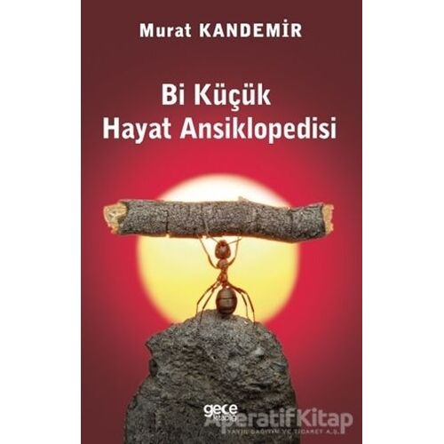 Bi Küçük Hayat Ansiklopedisi - Murat Kandemir - Gece Kitaplığı