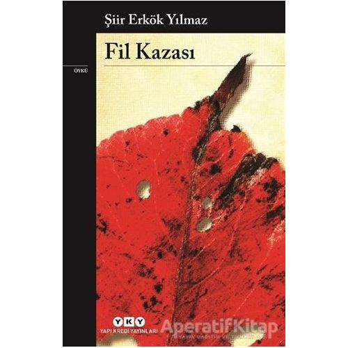 Fil Kazası - Şiir Erkök Yılmaz - Yapı Kredi Yayınları