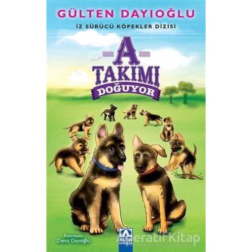 A Takımı Doğuyor - Gu¨lten Dayıoğlu - Altın Kitaplar