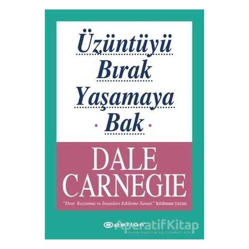 Üzüntüyü Bırak Yaşamaya Bak - Dale Carnegie - Epsilon Yayınevi