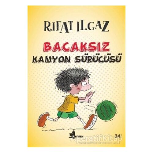 Bacaksız Kamyon Sürücüsü - Rıfat Ilgaz - Çınar Yayınları