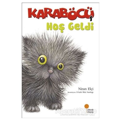 Karaböcü - Karaböcü Hoş Geldi - Niran Elçi - Günışığı Kitaplığı