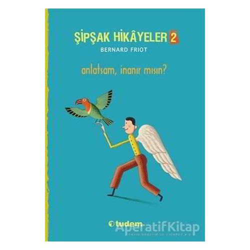 Şipşak Hikayeler 2 / Anlatsam İnanır mısın? - Bernard Friot - Tudem Yayınları