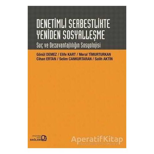 Denetimli Serbestlikte Yeniden Sosyalleşme - Cihan Ertan - Bağlam Yayınları