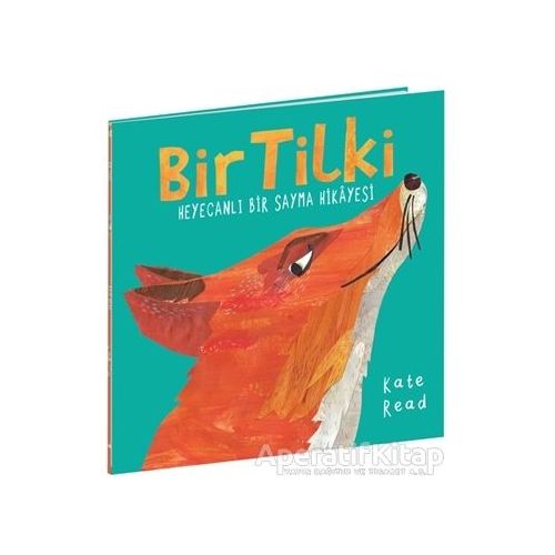 Bir Tilki - Kate Read - Beta Kids