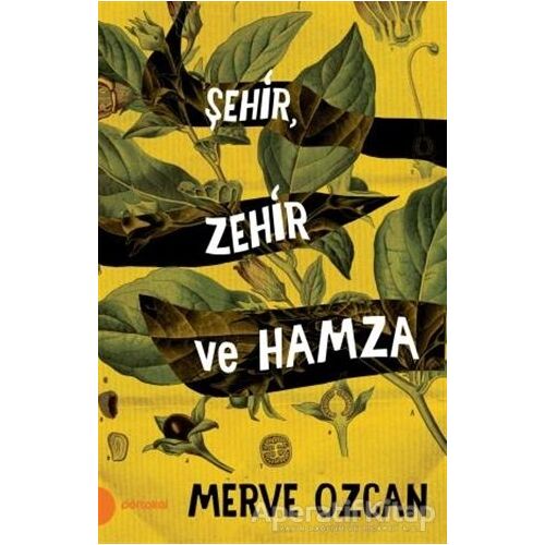 Şehir Zehir ve Hamza - Merve Özcan - Portakal Kitap